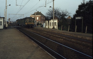 Biststraat - TH 82-9864.jpg